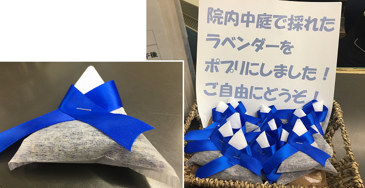 ラベンダーポプリ をどうぞ ブログ 山形県立新庄病院研修医募集サイト